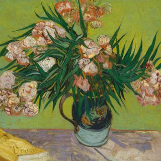 Kunst Kühlschrankmagnet van Gogh „Oleander“ aus original PLEXIGLAS®