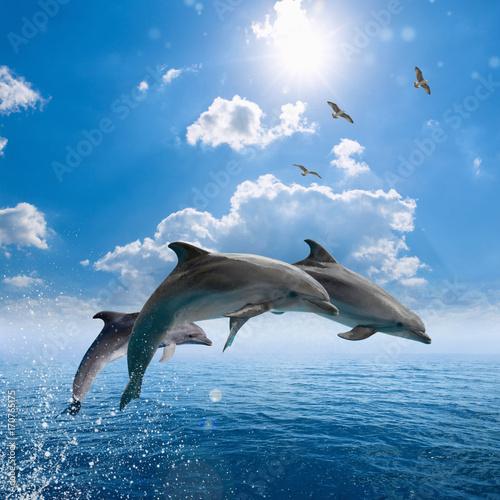 Dolphins jumping out of blue sea
