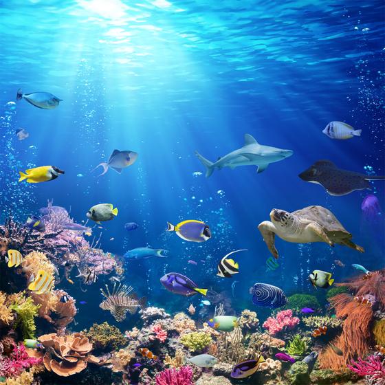 Unterwasser “Deep Sea I” Kühlschrankmagneten aus glasklarem PLEXIGLAS®